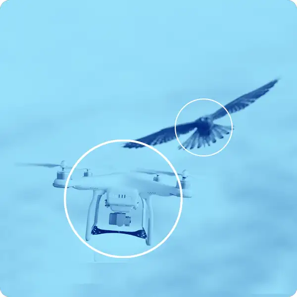 Radar can differentiate between drones and birds